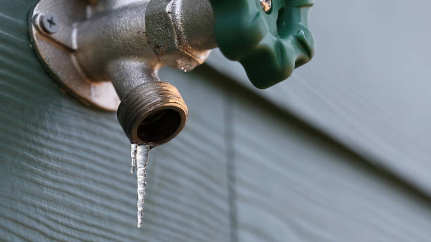 Best Plumbing Services Near Me  in Royal Palm Beach, FL