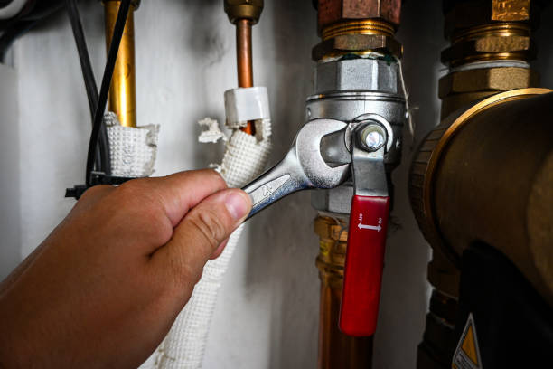 Best Local Plumber Services  in Royal Palm Beach, FL